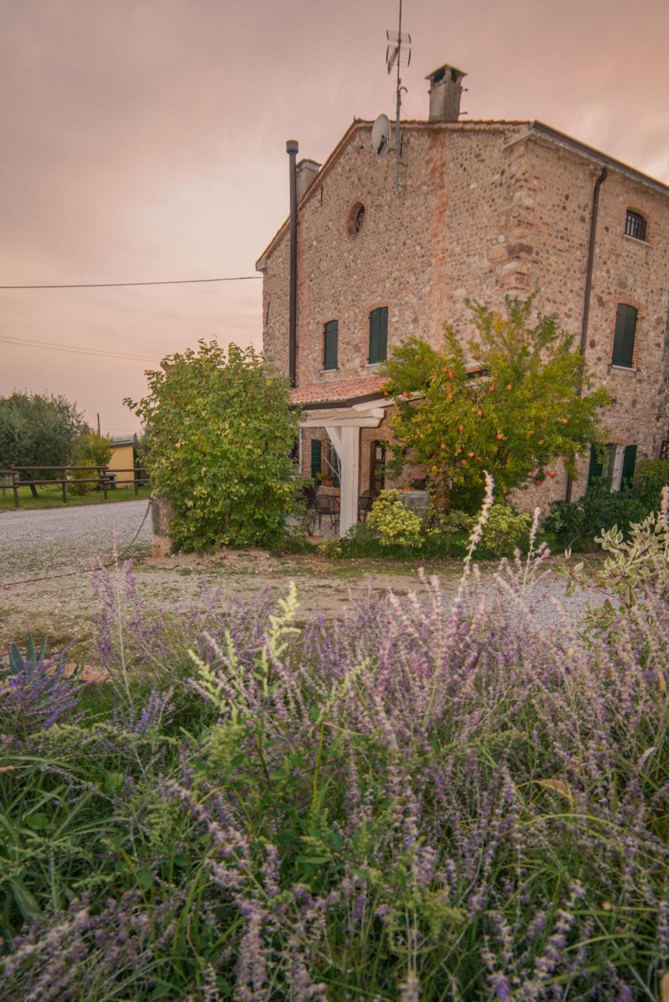 B&B Il Mio Casale Colà Exterior foto